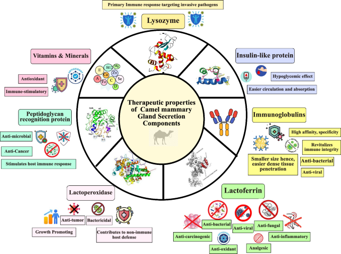 is it okay to take glutathione while taking antibiotics How Effectively: Best Forms, Timing & Tips Extracellular Vesicle-Based Drug Delivery Systems