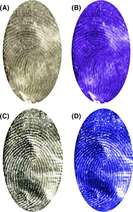 Latent fingerprint images on the aluminum foil substrates (A) N-CDs and