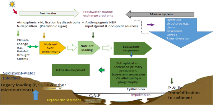 Mitigating the Expansion of Harmful Algal Blooms Across the  Freshwater-to-Marine Continuum