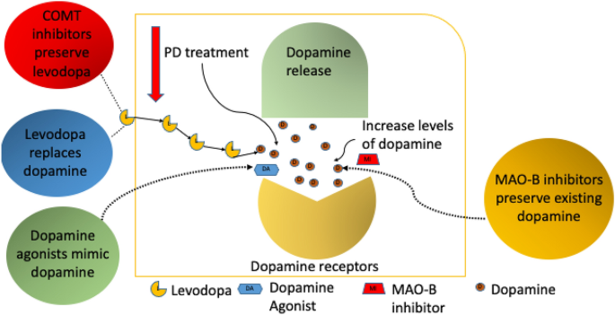 Challenges in the diagnosis of Parkinson's disease - The Lancet Neurology