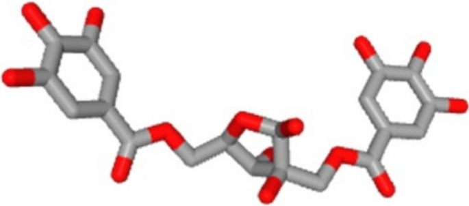 Evaluating the antioxidant-mediated neuroprotection of hamamelitannin against HO-induced oxidative damage | 3 Biotech | Springer Nature Link Evaluating the antioxidant-mediated neuroprotection of hamamelitannin against HO-induced oxidative damage | 3 Biotech | Springer Nature Link