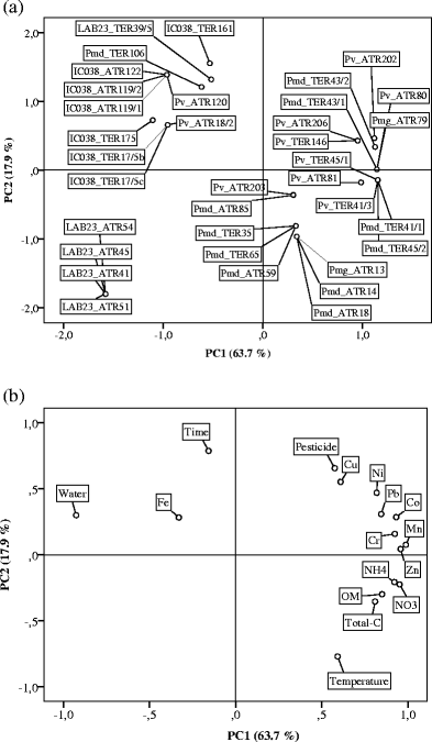 Interspecies Interactions of the 2,6-Dichlorobenzamide Degrading