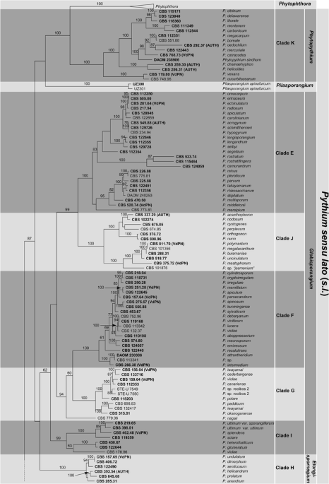 One stop shop: backbones trees for important phytopathogenic genera: I  (2014)