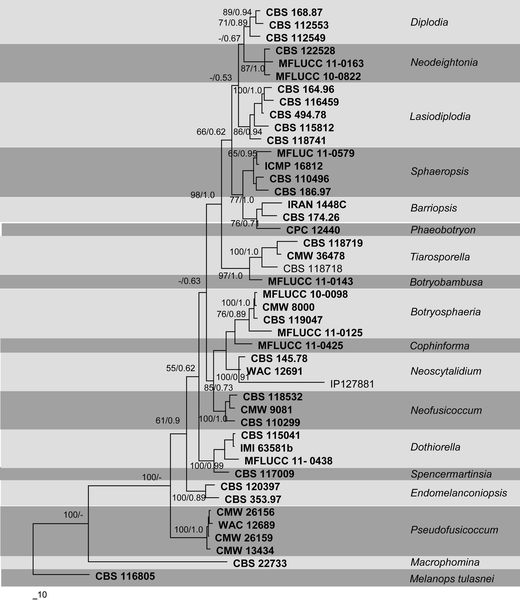 One stop shop: backbones trees for important phytopathogenic genera: I (2014)