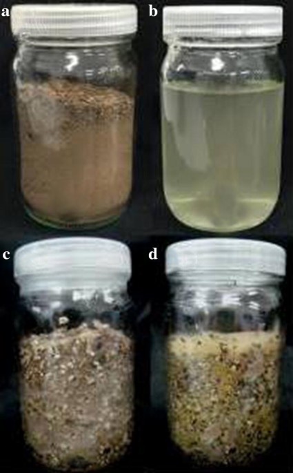 Most Common Food Preservation Techniques - Cultivator Phyto Lab