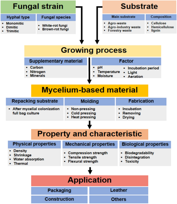 Synthesis and applications of fungal mycelium-based advanced