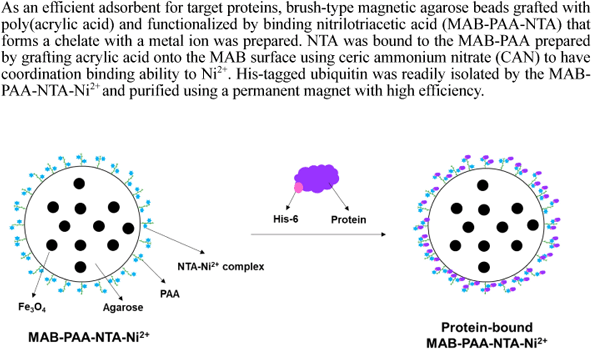 glutathione magnetic agarose beads Molecular Cloning Laboratories (MCLAB) and glyoxalase I Protino Glutathione Agarose 4B for