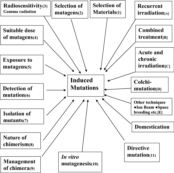 Induced mutations: technological advancement for development of new  ornamental varieties | The Nucleus