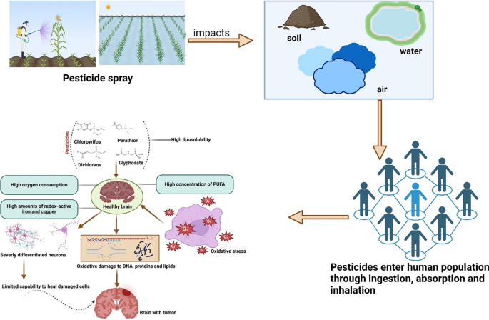 glutathione iv protocol Intravenous glutathione should not be mismatched with ozone as an  antioxidant therapy