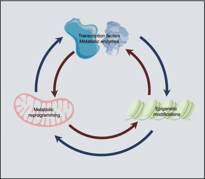 glutathione s transferase polymorphisms and their biological consequences PPT - The Effects of Glutathione- S - Transferase Polymorphisms on  Sulforaphane Metabolism PowerPoint Presentation