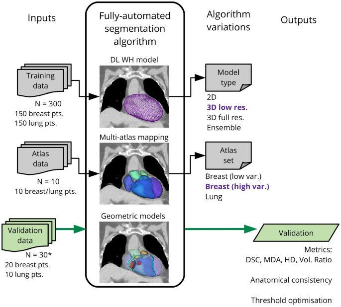 Deep learning-based segmentation of the thorax in mouse micro-CT scans