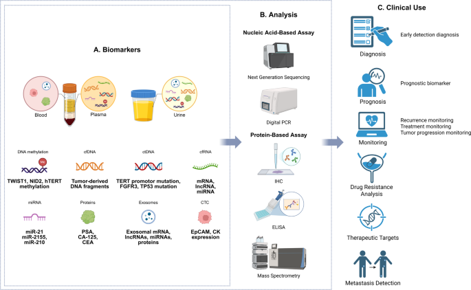 Image via link.springer.com
