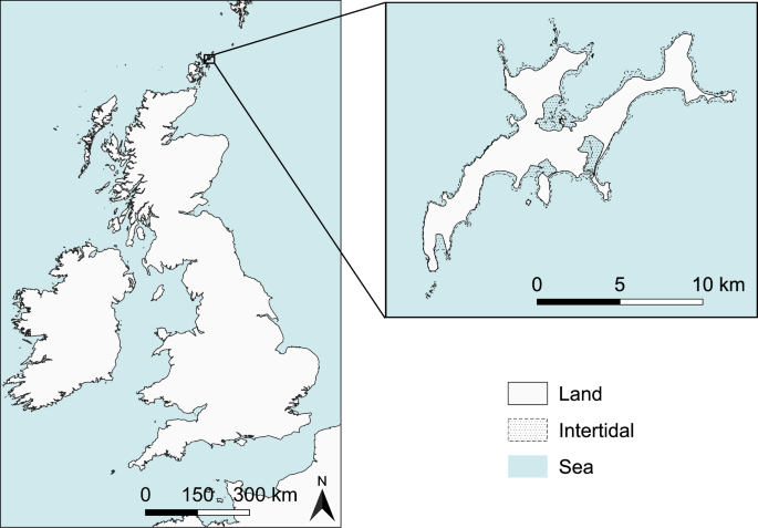 Meadows, memories, and missing layers: Transdisciplinary seagrass mapping towards restorative marine spatial planning - Ambio