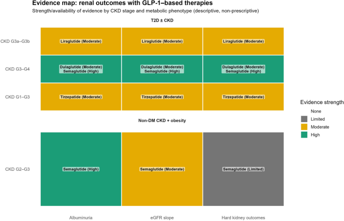 Renal Outcomes of GLP-1 Receptor Agonists and Tirzepatide Across CKD Stages and Metabolic Phenotypes (Type 2 Diabetes and/or Overweight/Obesity): A Scoping Review | Diabetes Therapy