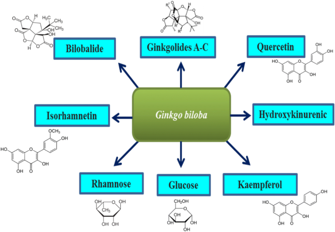 Neuroprotective and Antioxidant Effect of Ginkgo biloba Extract Against AD  and Other Neurological Disorders | Neurotherapeutics