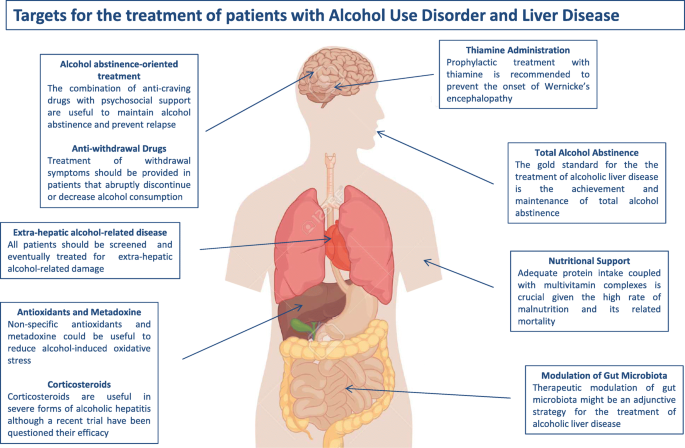 Diagnosis and Management of Alcohol Use Disorder in Patients with Liver  Disease: Lights and Shadows | Neurotherapeutics