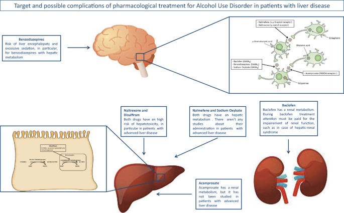 Diagnosis and Management of Alcohol Use Disorder in Patients with Liver  Disease: Lights and Shadows | Neurotherapeutics
