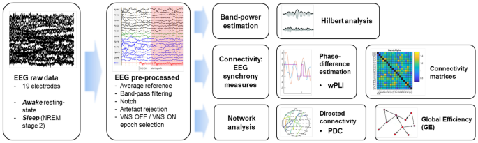 The vagus afferent network: emerging role in translational connectomics in:  Neurosurgical Focus Volume 45 Issue 3 (2018) Journals