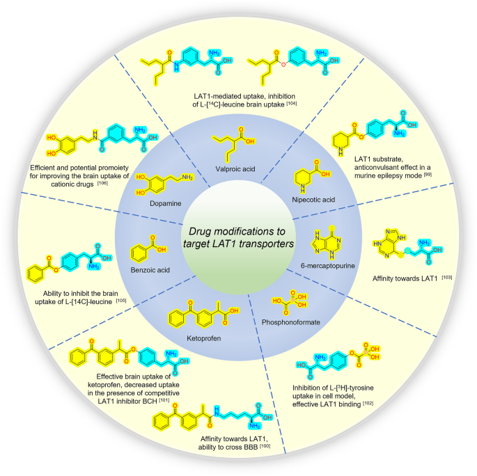 Physiology of Blood–Brain Interfaces in Relation to Brain Disposition of  Small Compounds and Macromolecules