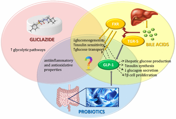 glutathione cancer reddit Catabolism of extracellular glutathione supplies cysteine to support  tumours