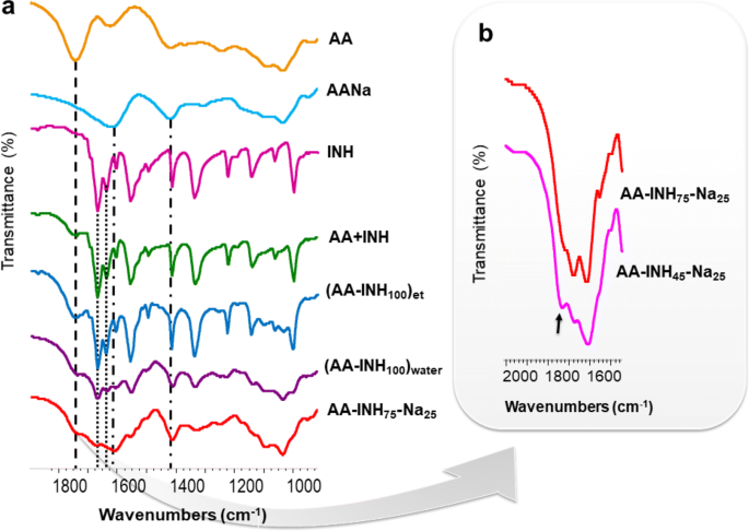 Anti-tuberculosis site-specific oral delivery system that enhances  rifampicin bioavailability in a fixed-dose combination with isoniazid