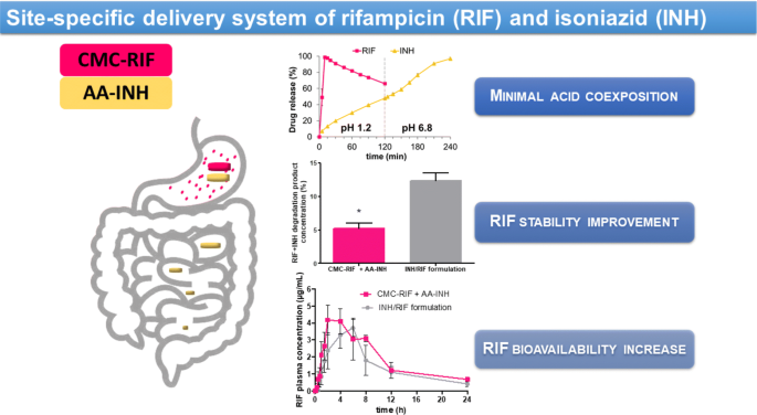 Anti-tuberculosis site-specific oral delivery system that enhances  rifampicin bioavailability in a fixed-dose combination with isoniazid