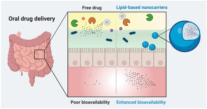 Current approaches in lipid-based nanocarriers for oral drug delivery |  Drug Delivery and Translational Research