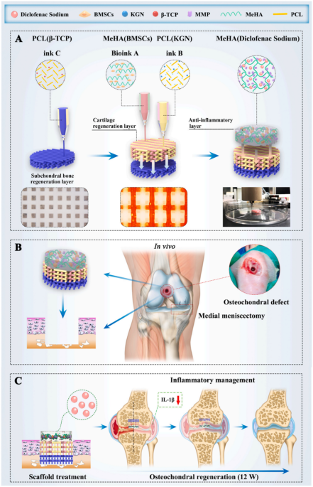 PDF) Bioprinting Applications in Craniofacial Regeneration