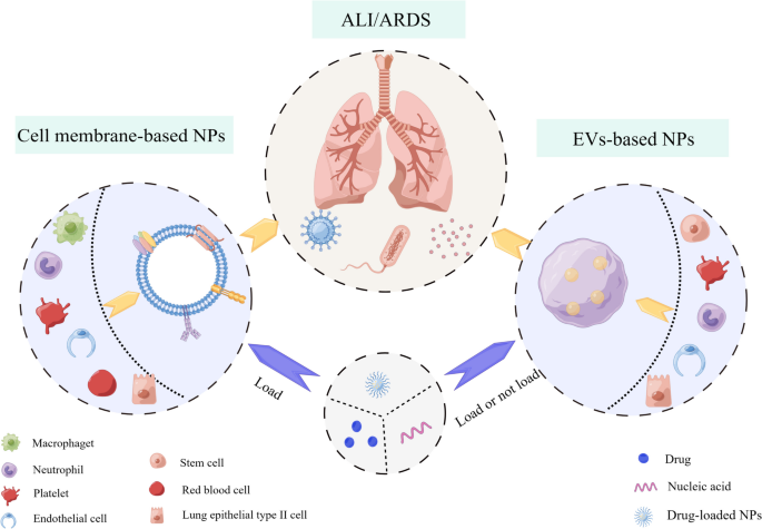 Calming the cytokine storm: Harnessing the power of stem cells to