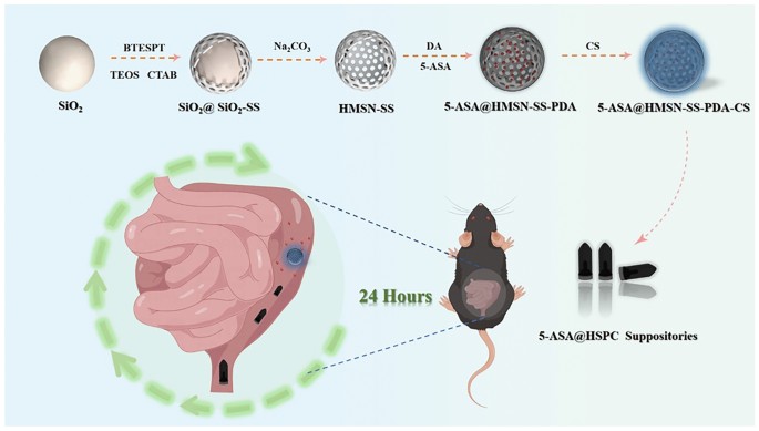 homemade glutathione suppositories pH and redox dual response nano-suppository for the treatment of ulcerative  colitis | Drug Delivery and Translational Research