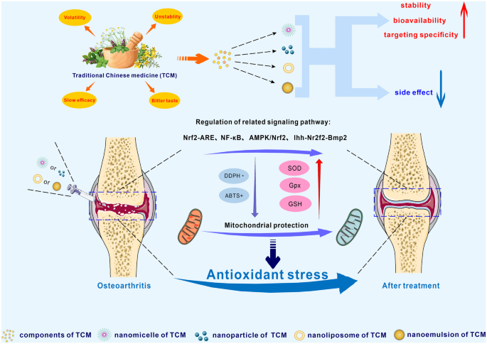 china glutathione free radical scavenger manufacturer Frontiers