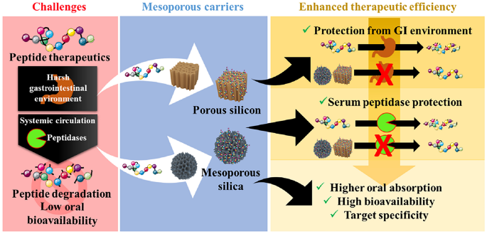 Porous silicon and silica carriers for delivery of peptide therapeutics |  Drug Delivery and Translational Research | Springer Nature Link