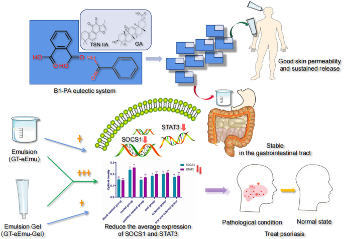 Preparation of Tanshinone IIA and glycyrrhetinic acid emulsion and preliminary study on its anti-psoriasis efficacy | Drug Delivery and Translational Research