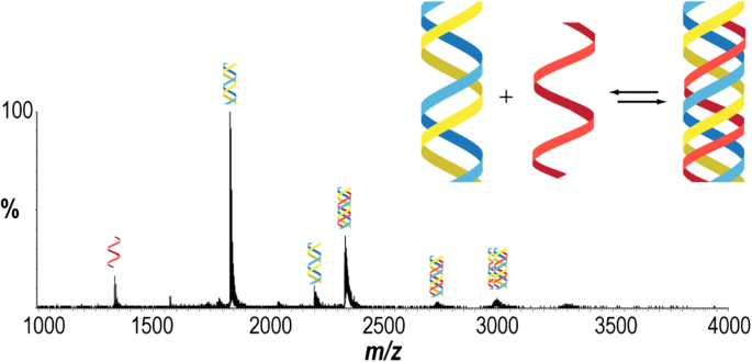 Ion Mobility Mass Spectrometry (IM-MS) for Structural Biology: Insights  Gained by Measuring Mass, Charge, and Collision Cross Section