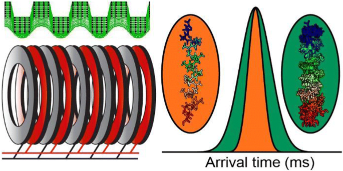 A Semi-Empirical Framework for Interpreting Traveling Wave Ion Mobility  Arrival Time Distributions | Journal of The American Society for Mass  Spectrometry