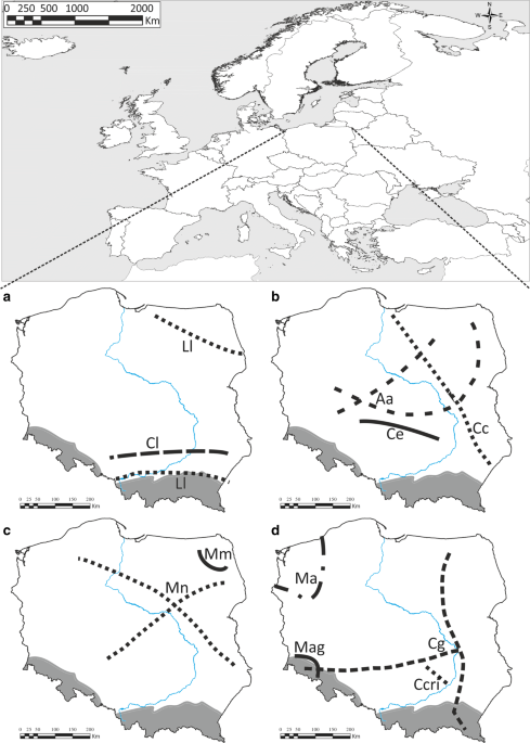 DNA from fossils reveal the origin of the Norwegian lemming