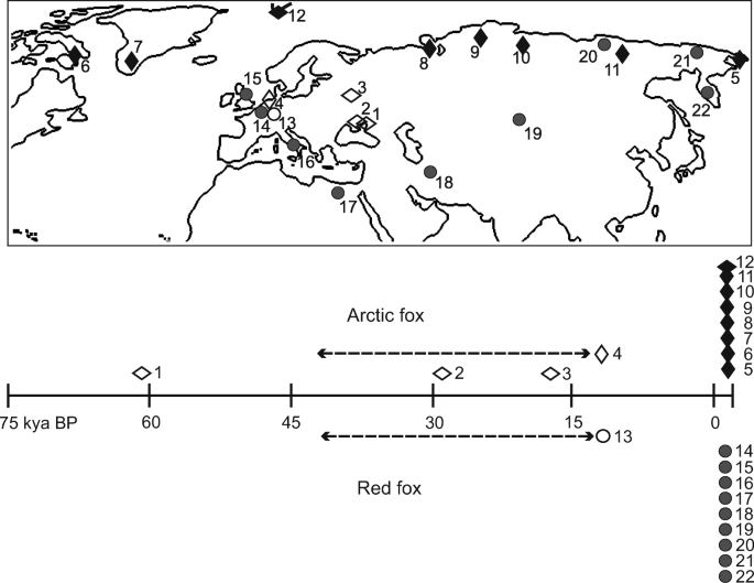 DNA from fossils reveal the origin of the Norwegian lemming