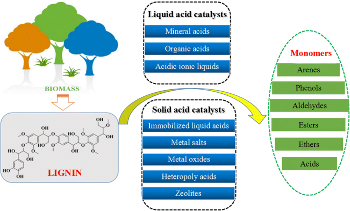 Kinetic and mechanistic insights into hydrogenolysis of lignin to