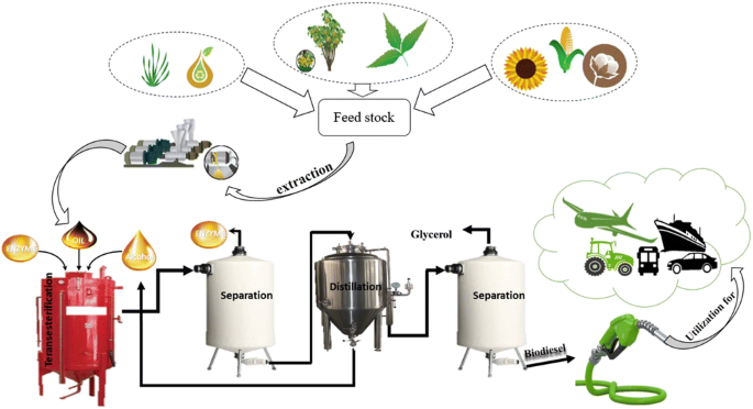 A study on biodiesel production using agricultural wastes and animal fats |  Biomass Conversion and Biorefinery