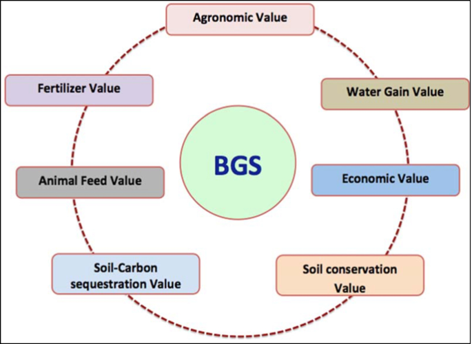 Sludge and Bioslurry