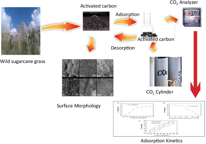 A facile approach in activated carbon synthesis from wild
