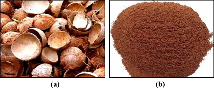 Coconut Shell - Crushed Coconut Shell Latest Price, Manufacturers &  Suppliers