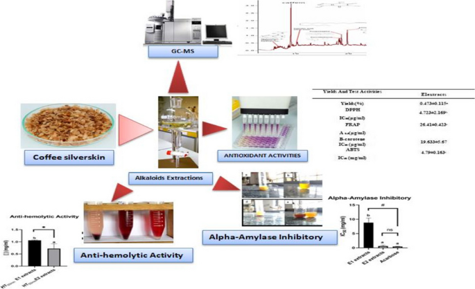 https://media.springernature.com/m685/springer-static/image/art%3A10.1007%2Fs13399-023-05207-4/MediaObjects/13399_2023_5207_Figa_HTML.png