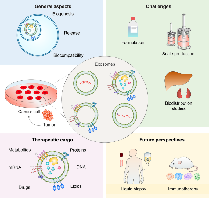 lipo b-c pills yellow urine Exosomes: from basic research to clinical diagnostic and therapeutic  applications in cancer | Cellular Oncology