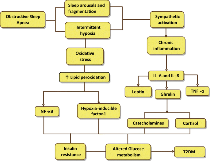 RSSDI clinical practice recommendations for screening, diagnosis, and  treatment in type 2 diabetes mellitus with obstructive sleep apnea