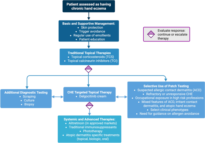 A Practical Approach to Chronic Hand Eczema | Dermatology and Therapy |  Springer Nature Link