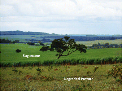 PDF) Brazil of Biofuels – sugarcane 2009. Impacts of crops on land,  environment and society