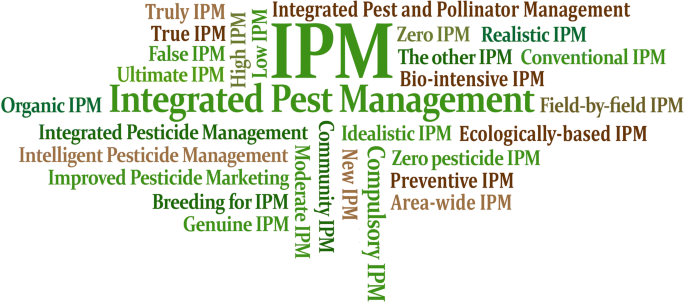 Integrated Rodent Control Systems: Effective Solutions for Pest Management