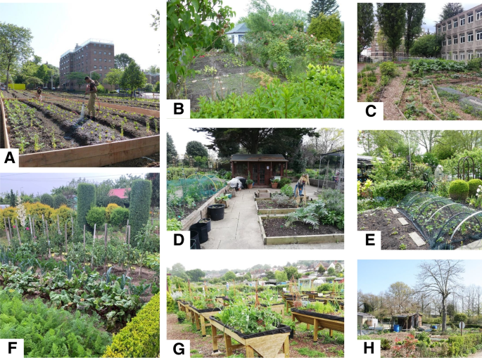 Urban agriculture, agroecology, school and community gardens