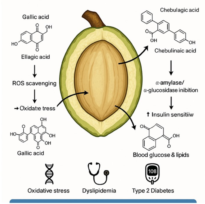 ipamorelin benefits and risks cjc 1295/ ipamorelin Ipamorelin Side Effects: Benefits & Risks